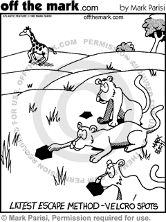 KEYWORD1  1992-07-01  lion  lions  animal  animals  mammal  mammals  giraffe  giraffes