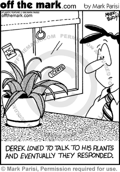 KEYWORD1  1992-07-30  derek  talk  talks  talked  plant  plants  respond  responds