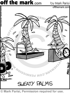 KEYWORD1  1993-01-19  palm  palms  palm tree  palm trees  plant  plants  anthropomorphic  sweat