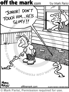 KEYWORD1  1993-07-16  snake  snakes  reptile  reptiles  serpent  serpents  animal  animals