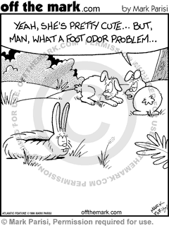 KEYWORD1  1996-03-08  rabbit  rabbits  bunny  bunnies  bunny rabbit  bunny rabbits  animal  animals