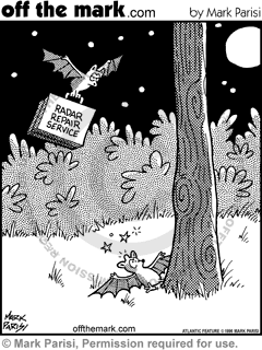 KEYWORD1  1996-11-06  bat  bats  mammal  mammals  animal  animals  fly  flying