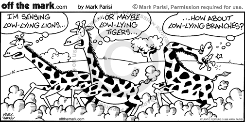 KEYWORD1  1998-09-06  giraffe  giraffes  mammal  mammals  animals  animals  stampede  stampedes