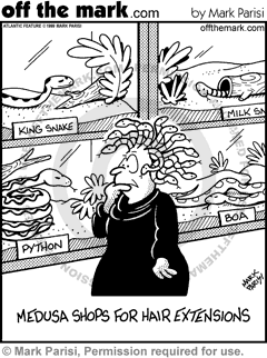 KEYWORD1  medusa  greek mythology  snake  snakes  reptile  reptiles  pet store  pet stores  aquarium