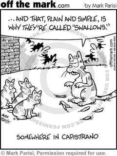 1999-03-19  bird  birds  swallow  swallows  capistrano  cat  cats  feline  felines