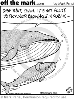 KEYWORD1  2002-02-27  whale  whales  blowhole  blow hole  pick  parent  parents  parenting
