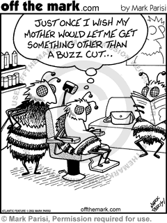 KEYWORD1  2002-03-11  bee  bees  bug  bugs  insect  insects  bumble bee  bumble bees