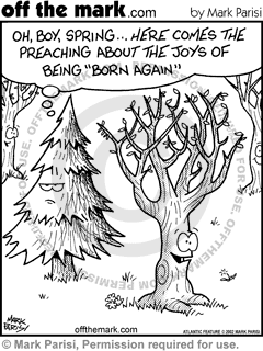 KEYWORD1  tree  trees  evergreen  evergreens  forest  forests  spring  religion  reborn