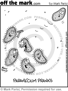 KEYWORD1  2006-04-01  paramecium  protozoa  protozoan  cilia  ciliate  anthropomorphic  microscopic 