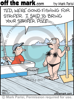 KEYWORD1  2011-08-03  fish  fishing  fishes  striper  stripers  animal  animals  stripper