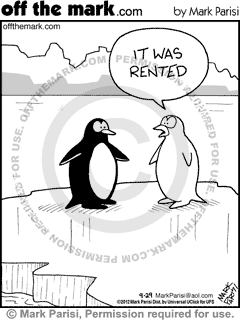 KEYWORD1  2012-09-29  cold  winter  snow  ice  icy  penguin  penguins  bird