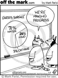 cat, fur, covering fearch with fur