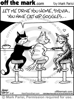 KEYWORD1  2012-11-15  cat  cats  feline  felines  pet  pets  animal  animals