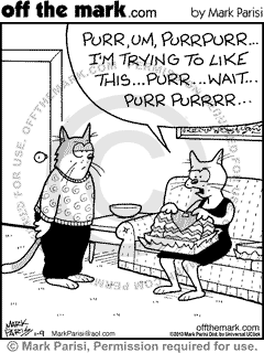 cat, purr, gift, clothing, sweater, marriage, dislike, unimpressed, faking
