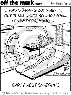 snake, psycology, therapy, empty nest, eggs, depression,