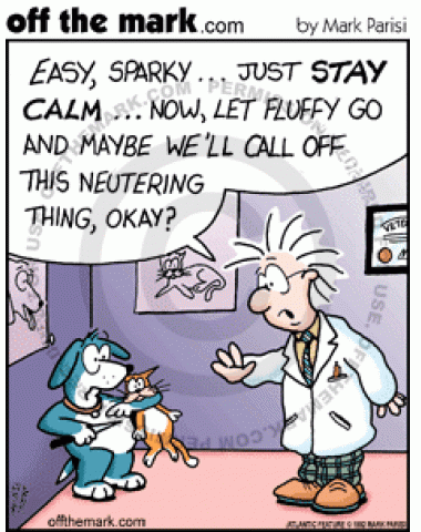 Veterinarian tells Sparky the dog to calm down and let Fluffy the cat go, and maybe they will call of the neutering.