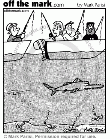 A swordfish cuts fisher's lines.