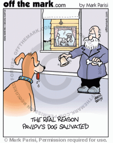 The real reason Pavlov's dog salivated was because he saw an attractive female dog.