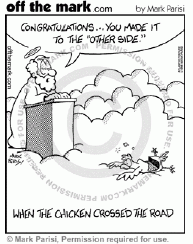 A chicken dies while crossing the road and makes it to the other side.