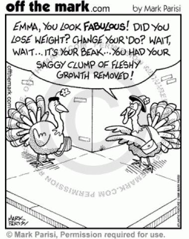 A turkey has plastic surgery to get her wattle removed.