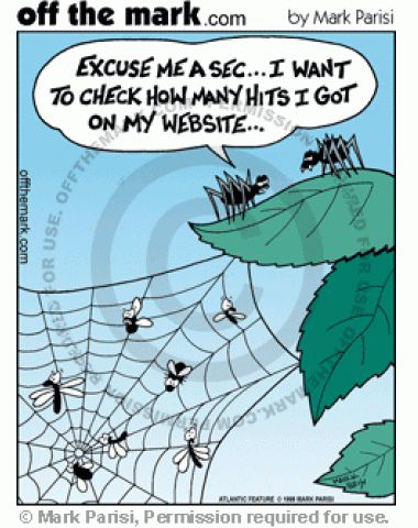 A spider wants to check how many hits its web site got.
