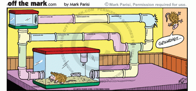 A hamster gets shot out of its cage's tubes by its friend's sneeze.
