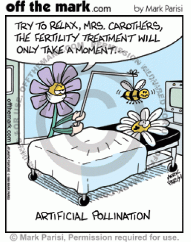 A flower gets a fertility treatment using a fake bee.