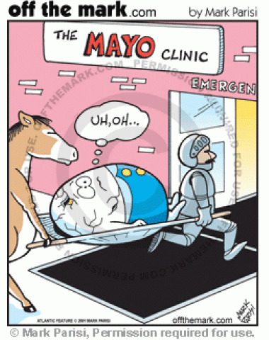 Humpty Dumpty is brought to the Mayo Clinic after his fall.