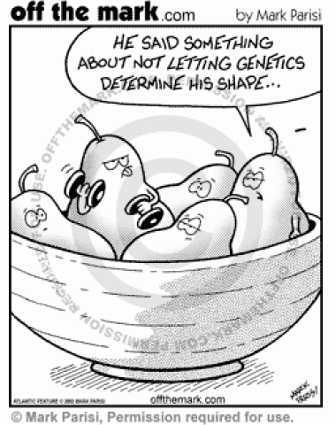 Featured image of post Genetics Cartoon / Dna testing. in a classroom double helixes take exams.