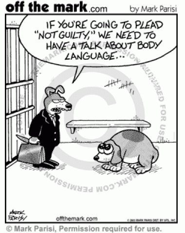 Dog Body Language Not Guilty Off The Mark Cartoons