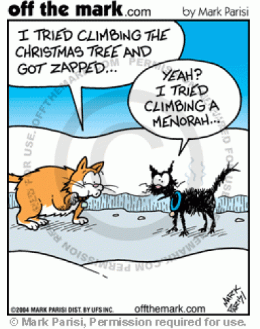 One cat tries climbing a Christmas tree, while another climbed a Menorah.