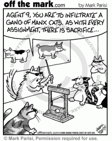 A cat secret agent has a mission to infiltrate a group of Manx cats.