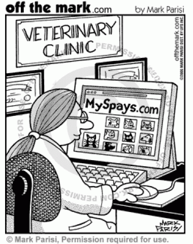 Playing on myspace.com, veterinarians can now go to a computer website and review the animals that they spayed.