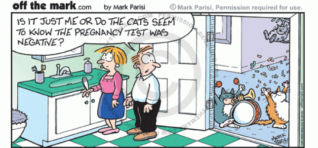 Cats seem to celebrate a couple's negative pregnancy result.