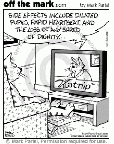 Cat Nip Commercial - off the mark cartoons