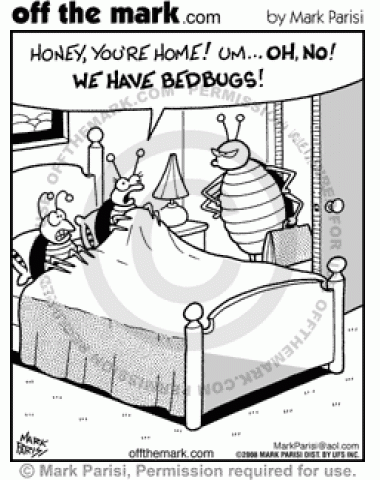 Bedbug finds his lady bedbug home in bed with another male bed bug.