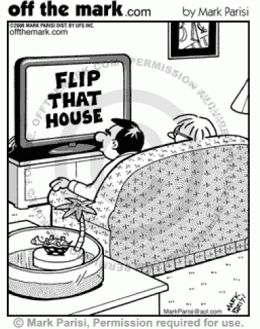Reality show Flip That House is on TV while a pet turtle struggles to flip his house.