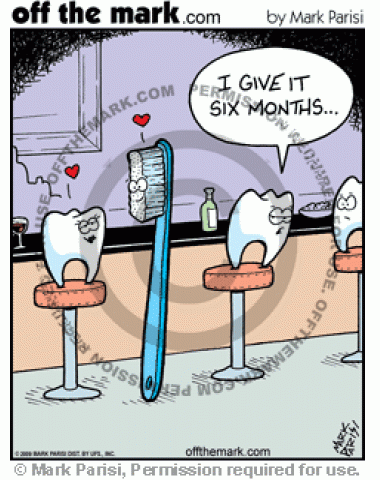 Tooth and toothbrush relationship get prediction of lasting six months.