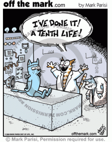 A mad scientist cat gives a Frankenstein cat a tenth life.