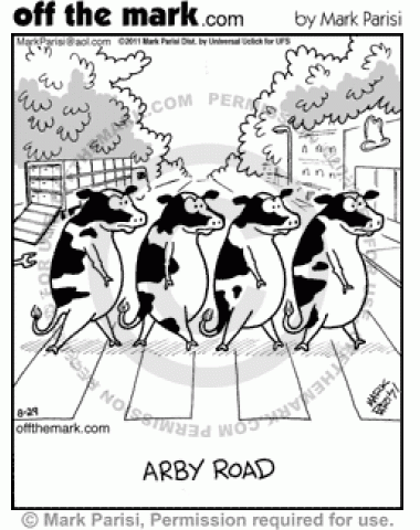 Cows crossing road parody famous Beatles' album cover for Abbey Road.