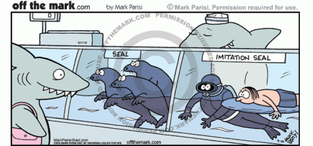 Imitation Seal Off The Mark Cartoons