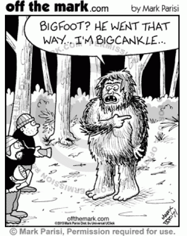 Researchers looking for Bigfoot find Bigcankle instead.