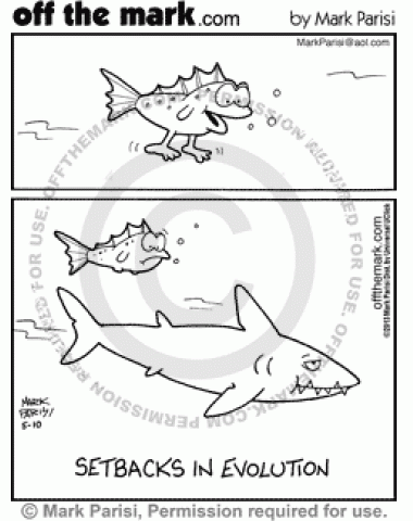 A fish evolves legs, but a shark bites them off.