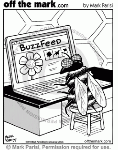 A bee reads Buzzfeed.