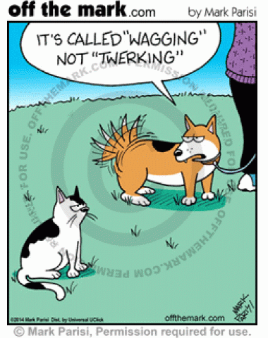A dog tells a cat that he's wagging his tail, not twerking.
