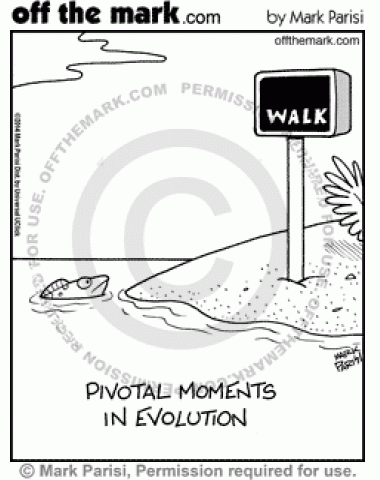 A fish comes to the shore and sees a walk sign.