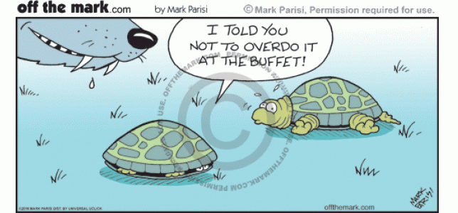 <p>
	After overdoing it at the buffet, turtle is unable to hide in shell to hide from predator.</p>

