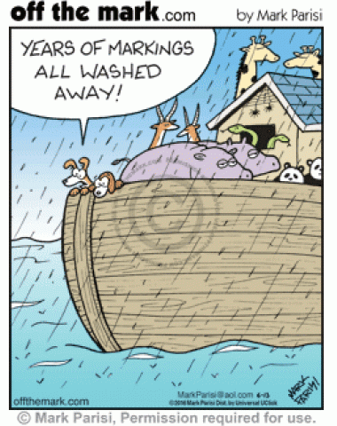 Dog aboard Noah's ark is disappointed all his pee markings are being washed away by rain.