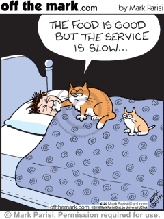 2016-06-20