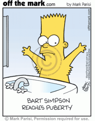 Bart Simpson grows spiky armpit hair during puberty.